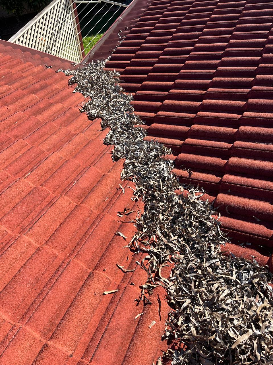 Before: Gutter cleaning