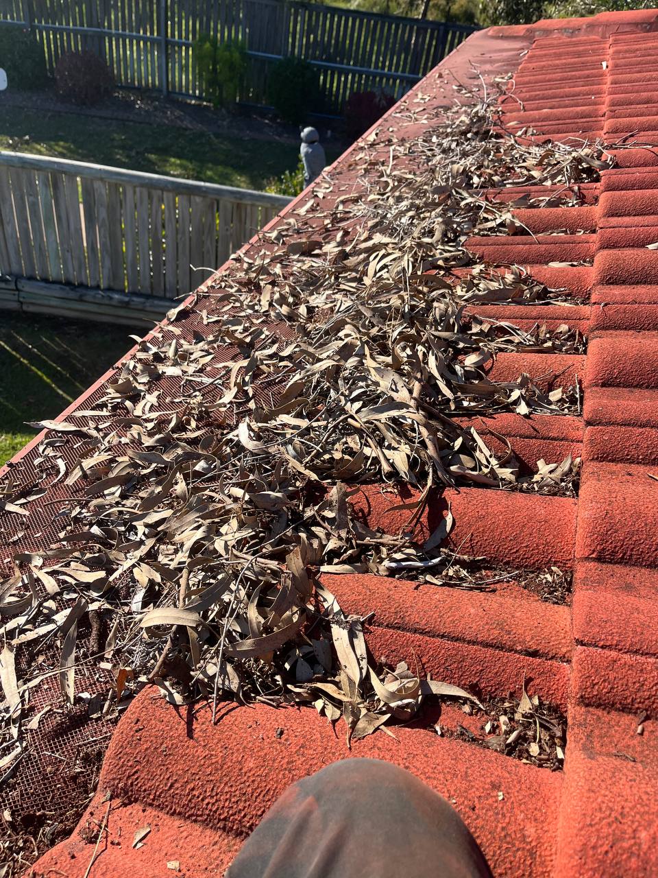 Before: Gutter cleaning